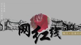 李子柒成红专题